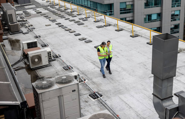 Best Roof Maintenance and Cleaning  in Waverly, MN