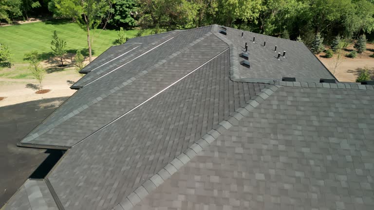 Best Sheet Metal Roofing  in Waverly, MN