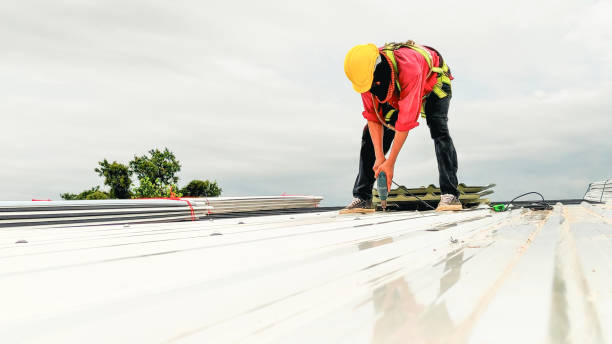 Best Emergency Roof Repair Services  in Waverly, MN