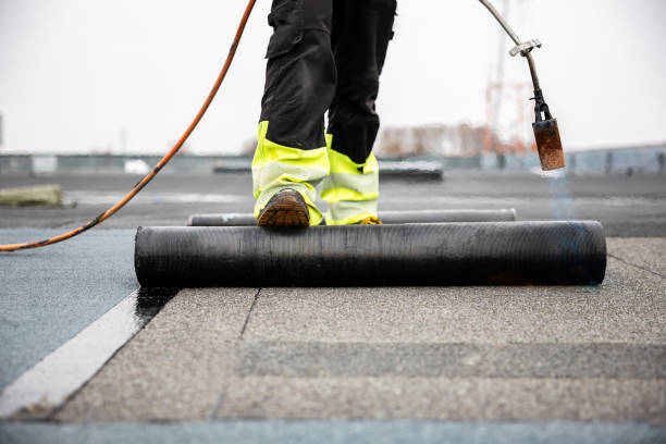 Best Roof Moss and Algae Removal  in Waverly, MN